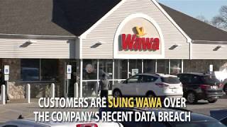 Celebrity Wawa Lawsuits Piling Up Net Worth