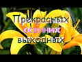 ДОБРОЕ УТРО,СУББОТА! ХОРОШИХ ОСЕННИХ ВЫХОДНЫХ!