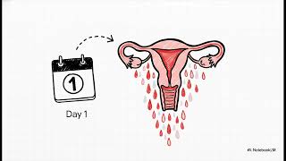 Sains Tingkatan 1 : Memahami Kitar Haid Anda