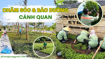 Chăm Sóc & Bảo Dưỡng Cảnh Quan | Quy Trình Chăm Sóc Cây Xanh Chuyên Nghiệp | Phương Trung Green