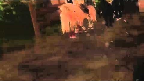 SSO Mep part 10 Für Lisa