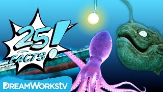 25 facts about the deep ocean 25 facts on go90
