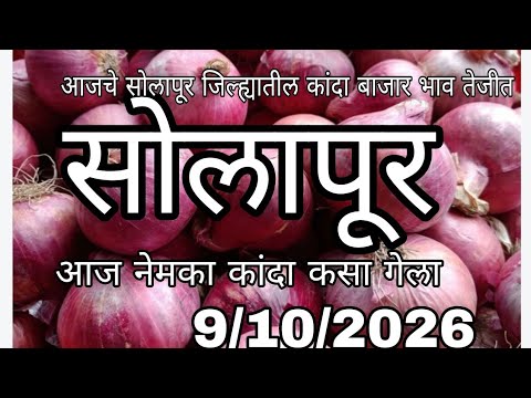 सोलापूर जिल्हा कांदा बाजार भाव वाढले,kanda bajar bhav today, सोलापूर कांदा मार्केट आजचे, सोलापूर