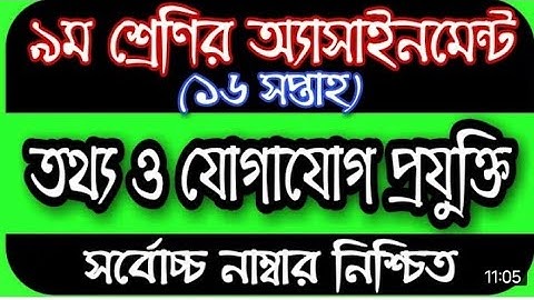 ৯ম শ্রেণির ১৬তম সপ্তাহের তথ্য এসাইনমেন্ট | class 9 16th week ICT assainment