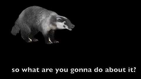 Why Creationism Should be Taught in Schools