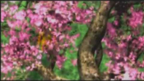 Top 10 Greatest (Obscure) RPGs [Part 1 of 2]