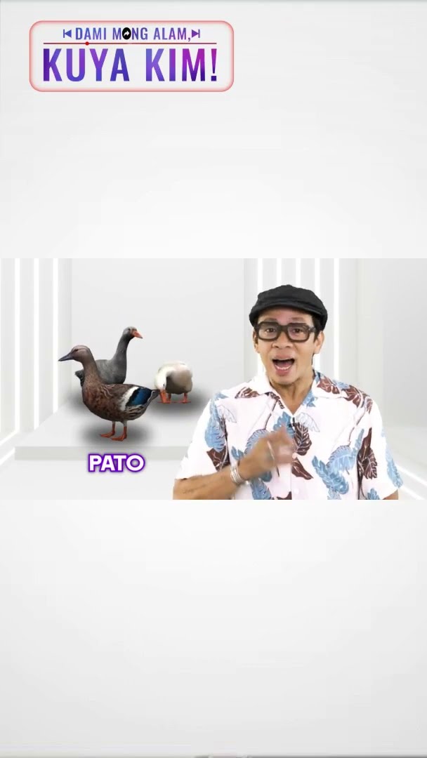 Ano ang pagkakaiba ng bibe, pato at itik? | Dami Mong Alam, Kuya Kim!