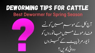 Best Deworming Tips for Cattle | Which Dewormer to Use in Spring?
