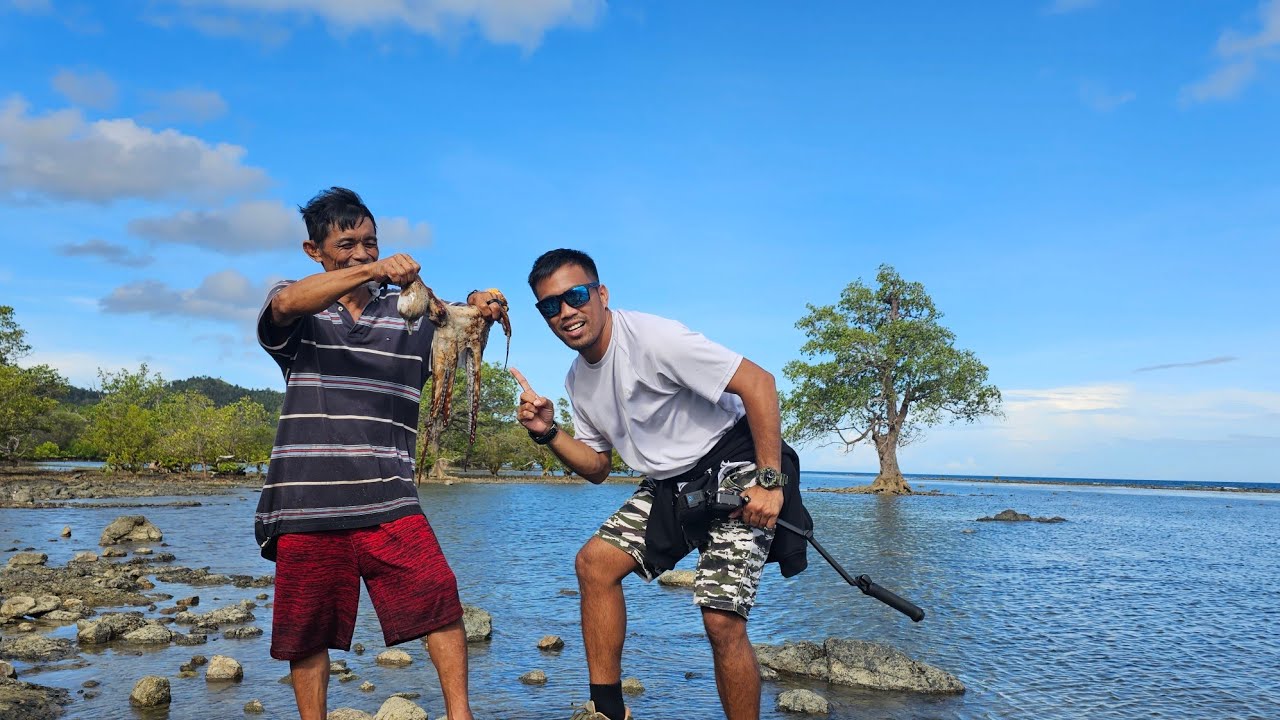 LOLO SOWEIRD ADVENTURE