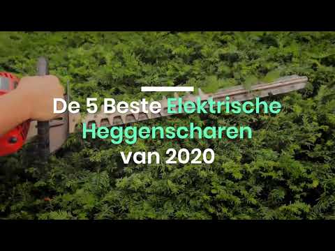 Video: Draadlose Heggenschaar: Kenmerke Van Die Keuse Van 'n Tuinteleskopiese Heggenschaar. Beoordeling Van Die Beste Modelle