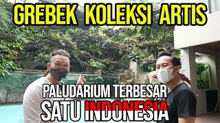 GREBEK ARTIS PUNYA PALUDARIUM TERBESAR SE INDONESIA DAN HEWAN ANEH LAINNYA !