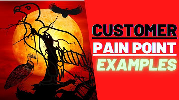 Customer Pain Points Examples... Hit The Pain
