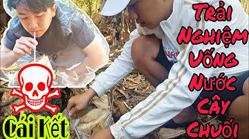 KN Tony Thử Thách Lấy Nước Uống Từ Thân Cây Chuối Và Cái Kết NTN \ Kĩ Năng Sinh Tồn Survival skills