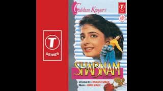 Tera Naam Likh Kar (Eagle Ultra Classic Jhankar) Movie: SHABNAM 1993 Singers:VINOD RATHOD & ANURADHA