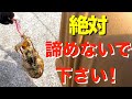 【エギング】何しても釣れない時に有効な手段をご紹介！