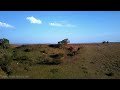 Beginning of video