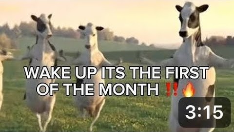 𝙞𝙩𝙨 𝙩𝙝𝙚 𝙛𝙞𝙧𝙨𝙩 𝙤𝙛 𝙩𝙝𝙚 𝙢𝙤𝙣𝙩𝙝 𝙓 𝙘𝙝𝙚𝙘𝙠 𝙞𝙩 𝙤𝙪𝙩 | 𝙩𝙞𝙠𝙩𝙤𝙠 𝙧𝙚𝙢𝙞𝙭 | 𝙩𝙞𝙠𝙩𝙤𝙠 𝙧𝙚𝙢𝙞𝙭