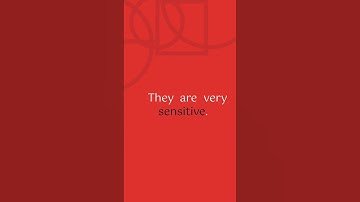 How a Touch Screen Works: The Magic Behind Your Device! #TechExplained #TouchScreen