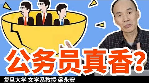 “别瞎混了，公务员才是正经工作”进体制真的香吗？【复旦教授梁永安】 - 天天要闻