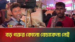 বড় গরুর কোনো বেচাকেনা নেই | Gabtoli Gorur Hat | ATN Bangla News