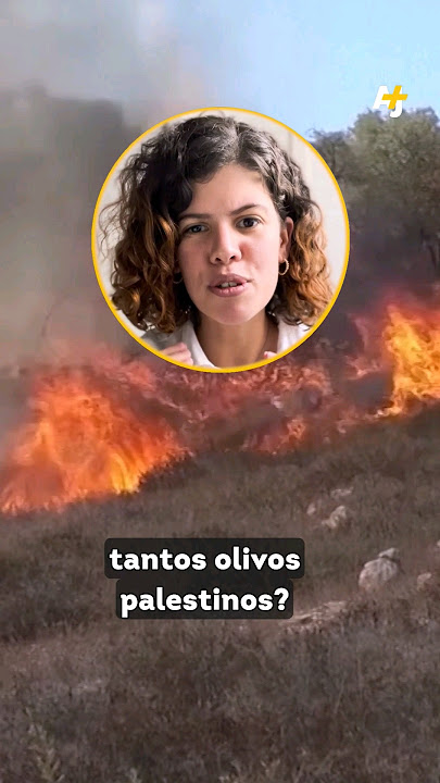 ¿Por qué Israel destruye los olivos palestinos? #shorts