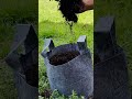 Green Thumbs Rejoice Green Thumbs Rejoice