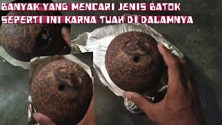 khasiat batok bolong sudah tahu kah