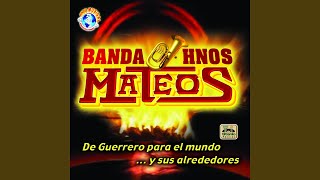 Video thumbnail of "Banda HNOS Mateos - Potpurri Sones de Mexico: Son de la Negra / El Sinaloense / Juan Colorado / Pelea de Gallos"