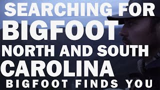 Bigfoot Activity In North and South Carolina | A True Hotspot For Bigfoot Creatures (FILM) screenshot 4