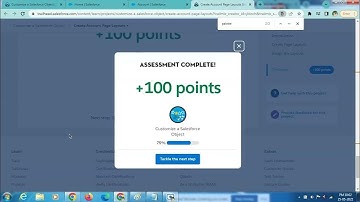 Create Picklists and Field Dependencies | Customize a Salesforce Object