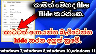 How to hide files, videos and photos on any windows 11 and 10 computers in Sinhala. screenshot 1