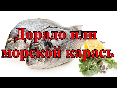 Дорато или морской карась. Польза и особенности приготовления