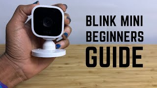 Blink Mini  Complete Beginners Guide