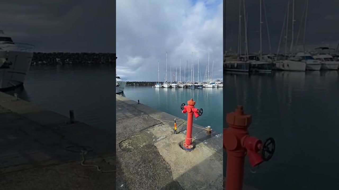 ⁣Солнечное #утро 🌞 #море после шторма 🌊 #пляж гладкий, гуляем Общаемся! Приходите 🐾