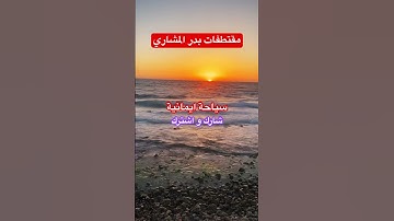 #بدر_المشاري #استغفر_الله #اذكار_الصباح #اذكار_المساء #بسم_الله_الرحمن_الرحيم #صلى_الله_عليه_وسلم