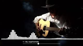 Bu oqshomda SHANSON GITARA