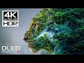 Stunning 4K HDR 120fps Dolby Vision Relaxation Video 🎶
