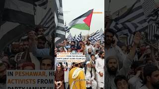 Pakistanis Protest To Free Imran Khan And Stop Vote-Rigging