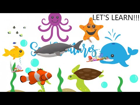Learn Sea Animal Names | For Children | Sea Creatures and Sea Animals