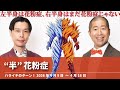 “半”花粉症【ハライチのターン！岩井トーク】2026年4月9日〜4月16日