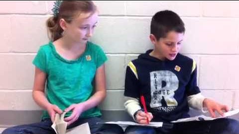 Peer Assisted Learning Strategies (PALS)