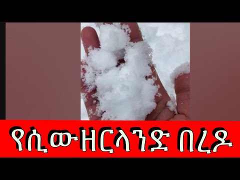 ሲውዘርላድ ከመምጣታቹሁ በፊት ማወቅ ካለባቹሁ ነገሮች አንዱ ይሄ ነው Snow Wenter