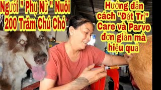 Hướng dẫn cách 