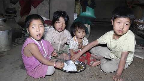 Pumpkin curry  || Life with unity || Myvillage official videos EP 15 || Rural life || Village life