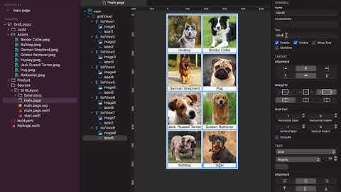 Learn How to Work with both AutoLayout and GridLayout in SCADE