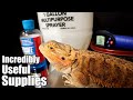 10 Essentials for Reptile Keepers