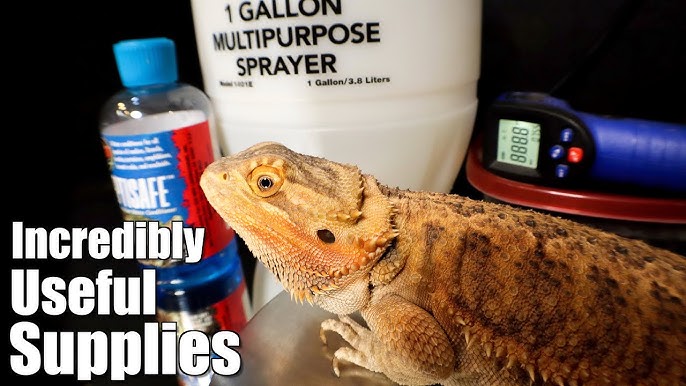 3 Shady Things Pet Stores Don't Want You to Know