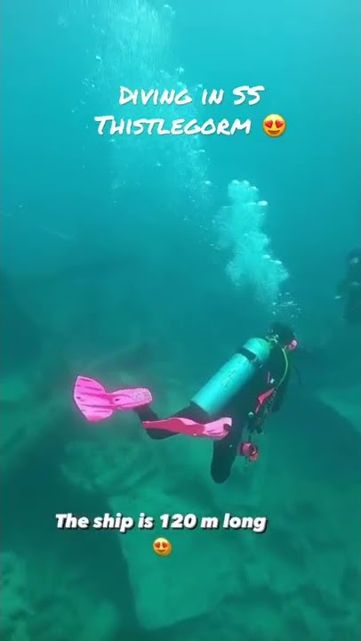 Diving in the red sea, Ras Mohammad, Egypt 😍