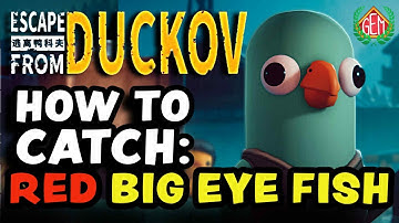 Escape from Duckov Where to Catch Red Big Eye Fish