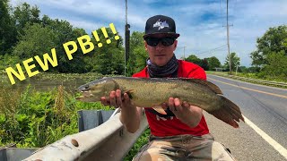 BIG BOWFIN! How to Catch Bowfin (Rigs, Bait, and Location)